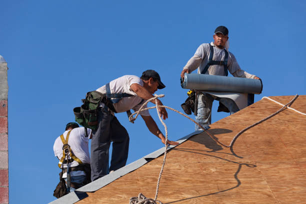 Best Roof Leak Repair  in Macon, GA