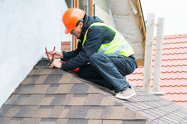 Best Roof Gutter Cleaning  in Macon, GA
